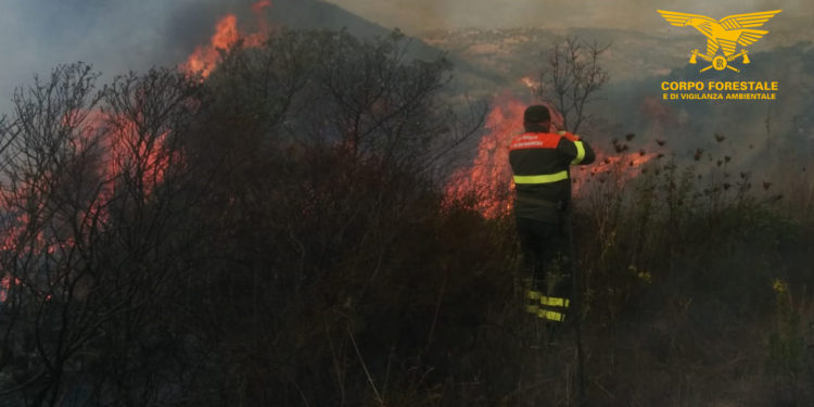 Incendio Nelle Campagne Di Bottida Sul Posto Uomini E Mezzi Del Corpo